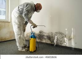 Best Residential Mold Inspection & Testing in USA